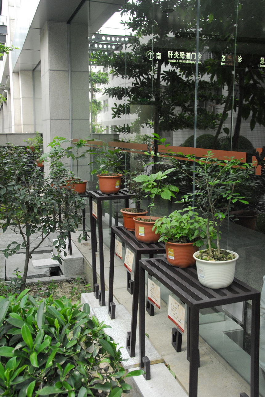 中草药展示园地