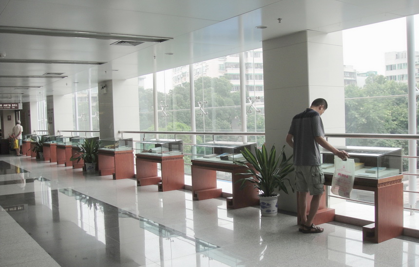 4 名医文献展示廊