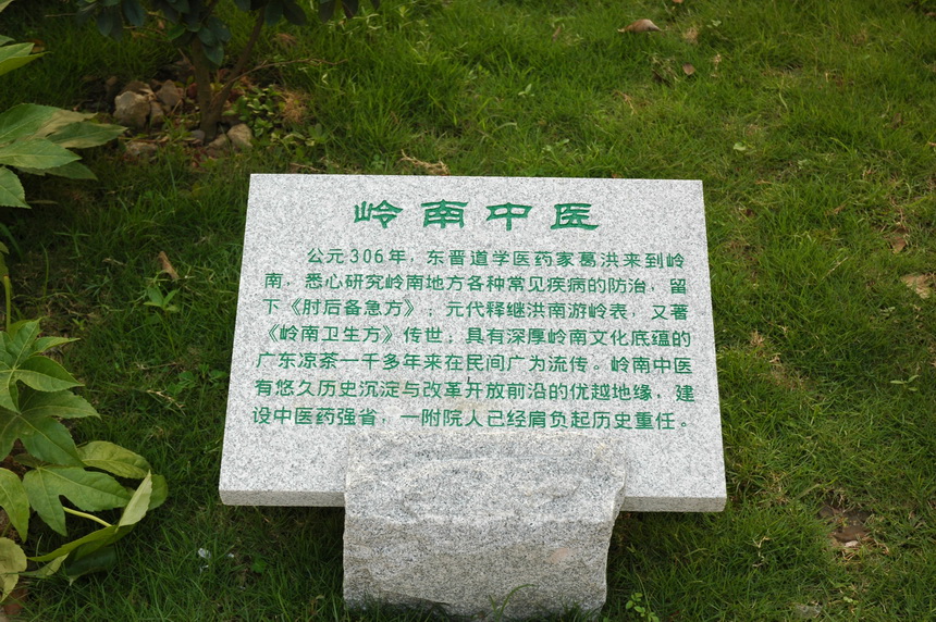 14 岭南中医-七景之一