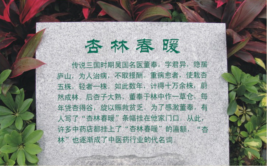 12 杏林春暖-七景之一